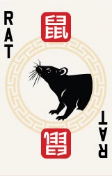 Rat